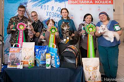 Международная выставка кошек 'Кэт-Салон-Октябрь' 15-16 октября 2022 
г.