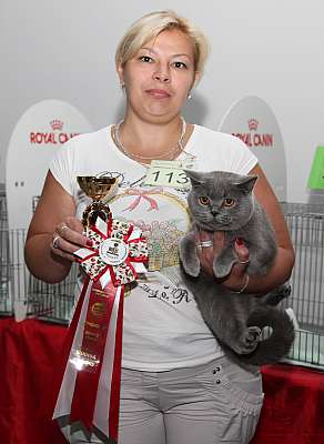 Выставка кошек 'Осенний Кэт-Салон' 31 августа - 1 сентября 2013 г. монопородные шоу_5569