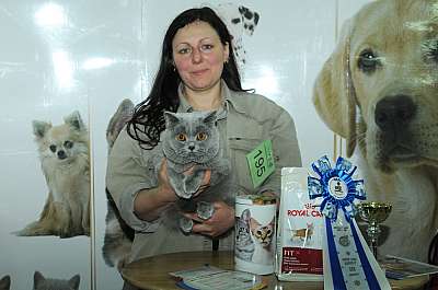 Выставка кошек 'Зимний Кэт-Салон'  22-23 февраля 2014 WCF-ринги 195_DSC_1001r.jpg