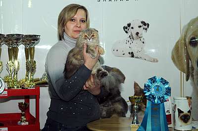 Выставка кошек 'Зимний Кэт-Салон'  22-23 февраля 2014 WCF-ринги DSC_1722r.jpg