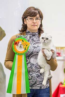 Выставка кошек 'Весенний Кэт-Салон'  5-6 апреля 2014 10-107-Best-Junior-Opp-Sex.jpg