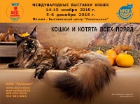 Международная выставка кошек 'Кэт-Салон-Ноябрь' 14-15 ноября 2015 г.