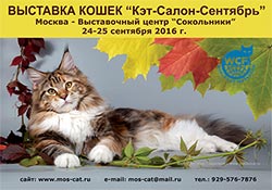 Международная выставка кошек 'Кэт-Салон-Сентябрь' 24-25 сентября 2016 г.