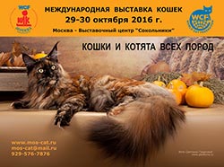 Международная выставка кошек 'Кэт-Салон-Октябрь' 29-30 октября 2016 г.