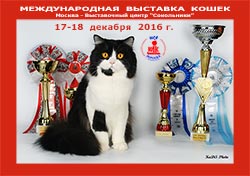 Международная выставка кошек 'Кэт-Салон-Декабрь' 17-18 декабря 2016 г.