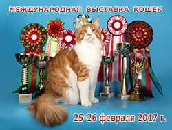 Международная выставка кошек 'Кэт-Салон-Февраль' 25-26 февраля 2017 г.
