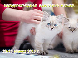 Международная выставка кошек 'Кэт-Салон-Апрель' 22-23 апреля 2017 г.