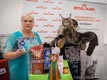 Выставка кошек 7-8 июля 2018 г. WCF-ринги молодых.