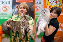 Национальная выставка кошек 'Кэт-Салон-Апрель' 13-14 апреля 2019 г.