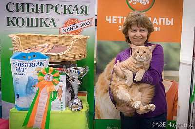 Выставка кошек 13-14 апреля 2019 г. Фотографии  3-13-0332.jpg