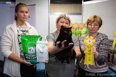 Выставка кошек 19-20 сентября 2020 Фотографии 1-114-0117.jpg