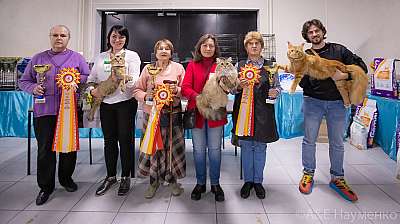 Выставка кошек 18-19.09.2021 Фотографии 18-0269.jpg