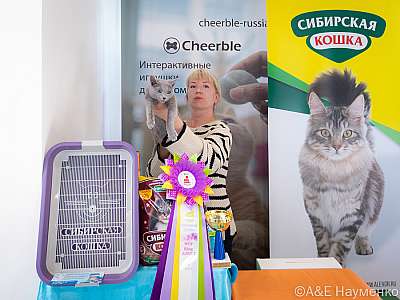 Выставка кошек 19-20.03.2022 Фотографии 4-82-0399-20032022.jpg