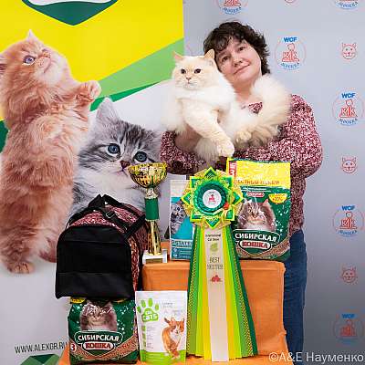 Выставка кошек 16-17.04.2022 Фотографии 14-109-0198_Moskva_16042022.jpg