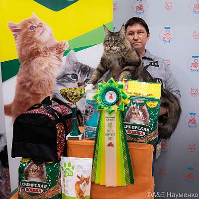 Выставка кошек 16-17.04.2022 Фотографии 15-26-0199_Moskva_16042022.jpg