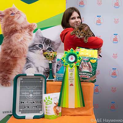 Выставка кошек 16-17.04.2022 Фотографии 8-64-0236_Moskva_16042022.jpg