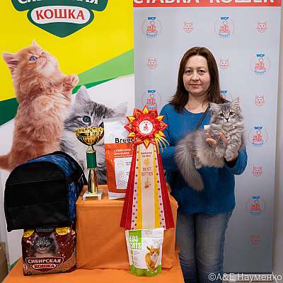 Выставка кошек 16-17.04.2022 Фотографии 10-48-0482_Moskva_17042022.jpg