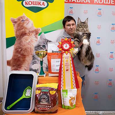 Выставка кошек 16-17.04.2022 Фотографии 14-26-0455_Moskva_17042022.jpg