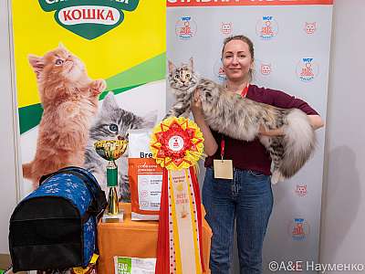 Выставка кошек 16-17.04.2022 Фотографии 5-19-0506_Moskva_17042022.jpg