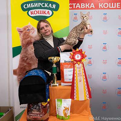 Выставка кошек 16-17.04.2022 Фотографии 6-65-0504_Moskva_17042022.jpg