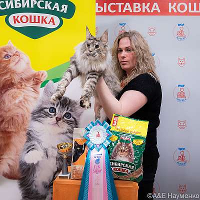 Выставка кошек 16-17.04.2022 Фотографии 3-21-0157_Moskva_16042022.jpg