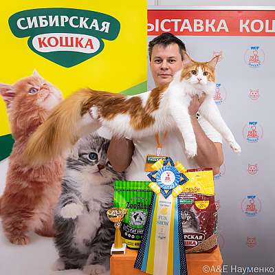 Выставка кошек 16-17.04.2022 Фотографии 2-12-0390_Moskva_17042022.jpg