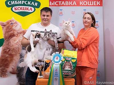 Выставка кошек 16-17.04.2022 Фотографии 7-7-0043_Moskva_16042022.jpg