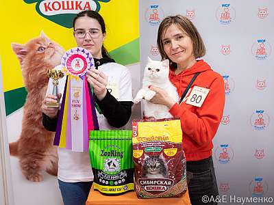 Выставка кошек 16-17.04.2022 Фотографии 2-80-0431_Moskva_17042022.jpg