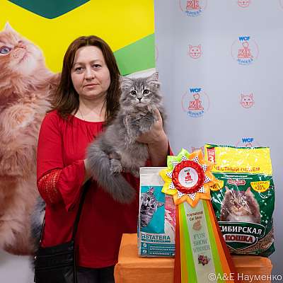 Выставка кошек 16-17.04.2022 Фотографии 10-48-0166_Moskva_16042022.jpg