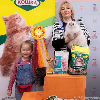 Выставка кошек 16-17.04.2022 Фотографии 1-45-0016_Moskva_16042022.jpg