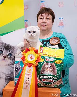Выставка кошек 16-17.04.2022 Фотографии 9-85-0028_Moskva_16042022.jpg