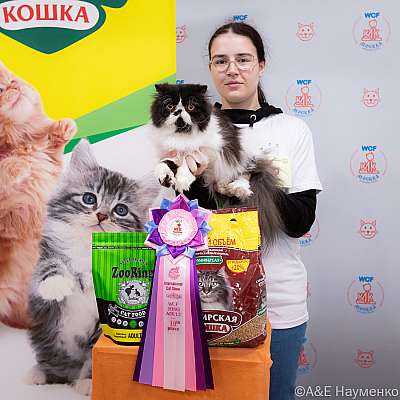 Выставка кошек 16-17.04.2022 Фотографии 10-2-0341_Moskva_17042022.jpg
