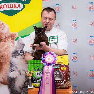 Выставка кошек 16-17.04.2022 Фотографии 4-110-0336_Moskva_17042022.jpg
