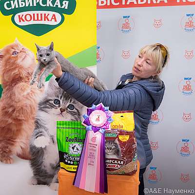 Выставка кошек 16-17.04.2022 Фотографии 7-107-0356_Moskva_17042022.jpg