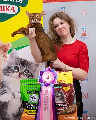 Выставка кошек 16-17.04.2022 Фотографии 9-57-0346_Moskva_17042022.jpg