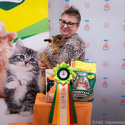 Выставка кошек 16-17.04.2022 Фотографии 10-51-0119_Moskva_16042022.jpg