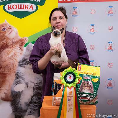 Выставка кошек 16-17.04.2022 Фотографии 8-91-0122_Moskva_16042022.jpg