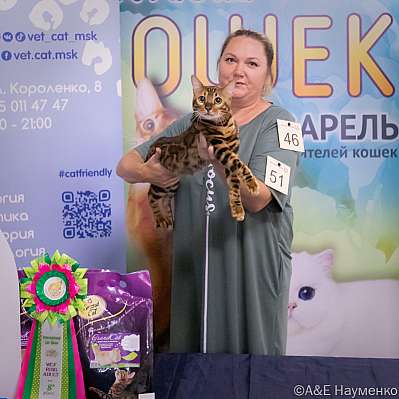Выставка кошек 23-24.07.2022 Фотографии 8-51-image23.jpg