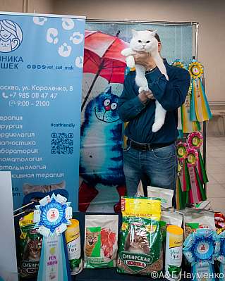 Выставка кошек 17-18.09.2022 Фотографии 4-69-0330_klk_Moskva.jpg