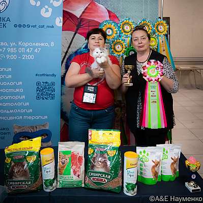 Выставка кошек 17-18.09.2022 Фотографии 1-29-0457_klk_Moskva.jpg