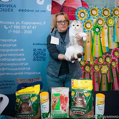 Выставка кошек 17-18.09.2022 Фотографии 7-87-0459_klk_Moskva.jpg