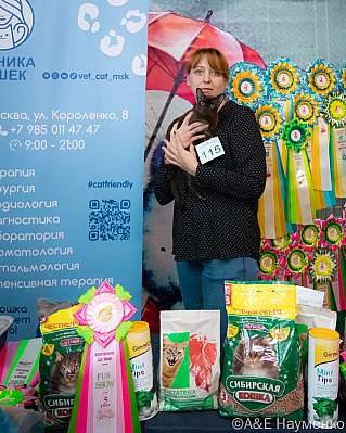 Выставка кошек 17-18.09.2022 Фотографии 5-115-0417_klk_Moskva.jpg