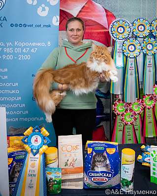 Выставка кошек 17-18.09.2022 Фотографии 5-5-0187_klk_Moskva.jpg