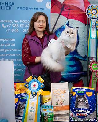 Выставка кошек 17-18.09.2022 Фотографии 9-36-0184_klk_Moskva.jpg
