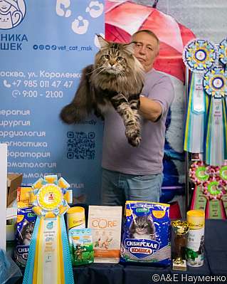 Выставка кошек 17-18.09.2022 Фотографии 1-21-0047_klk_Moskva.jpg