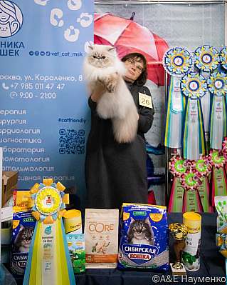 Выставка кошек 17-18.09.2022 Фотографии 2-26-0040_klk_Moskva.jpg