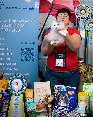 Выставка кошек 17-18.09.2022 Фотографии 4-29-0115_klk_Moskva.jpg