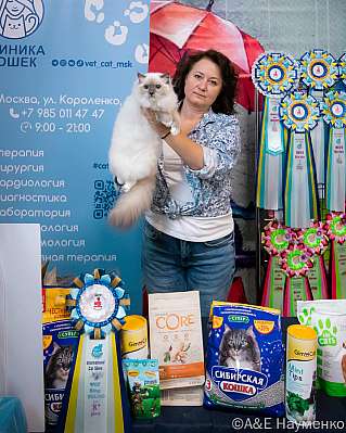 Выставка кошек 17-18.09.2022 Фотографии 8-112-0122_klk_Moskva.jpg