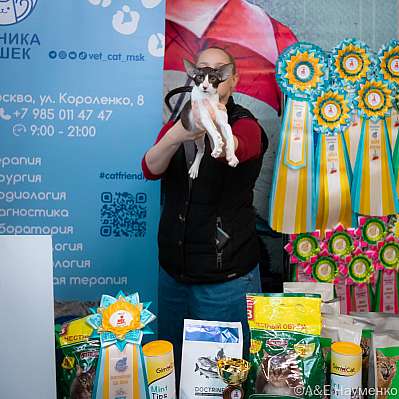 Выставка кошек 17-18.09.2022 Фотографии 4-119-0292_klk_Moskva.jpg