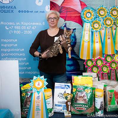 Выставка кошек 17-18.09.2022 Фотографии 5-49-0284_klk_Moskva.jpg